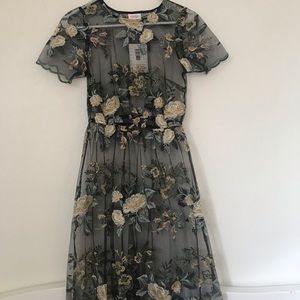 Lace overlay Lularoe Deanne 2